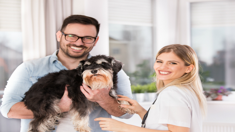 Aging Pet Care