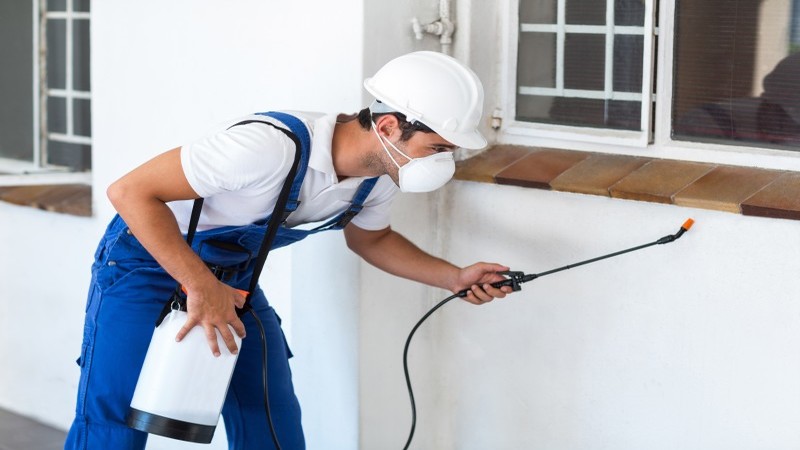 Finding the Best Pest Control Company in Minnetonka