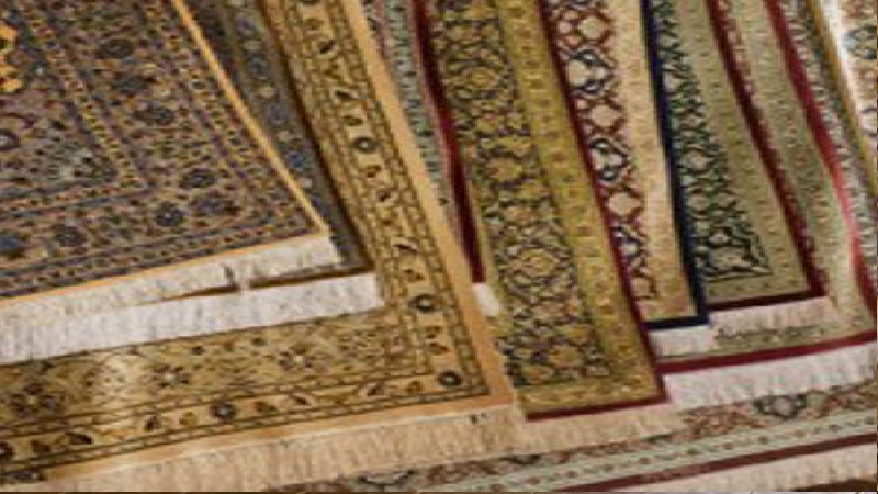 Why You Should Get Into Carpet Cleaning in Golden CO