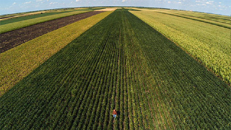 Three Methods of Seed Treatment You Need to Know in Vernon County, WI