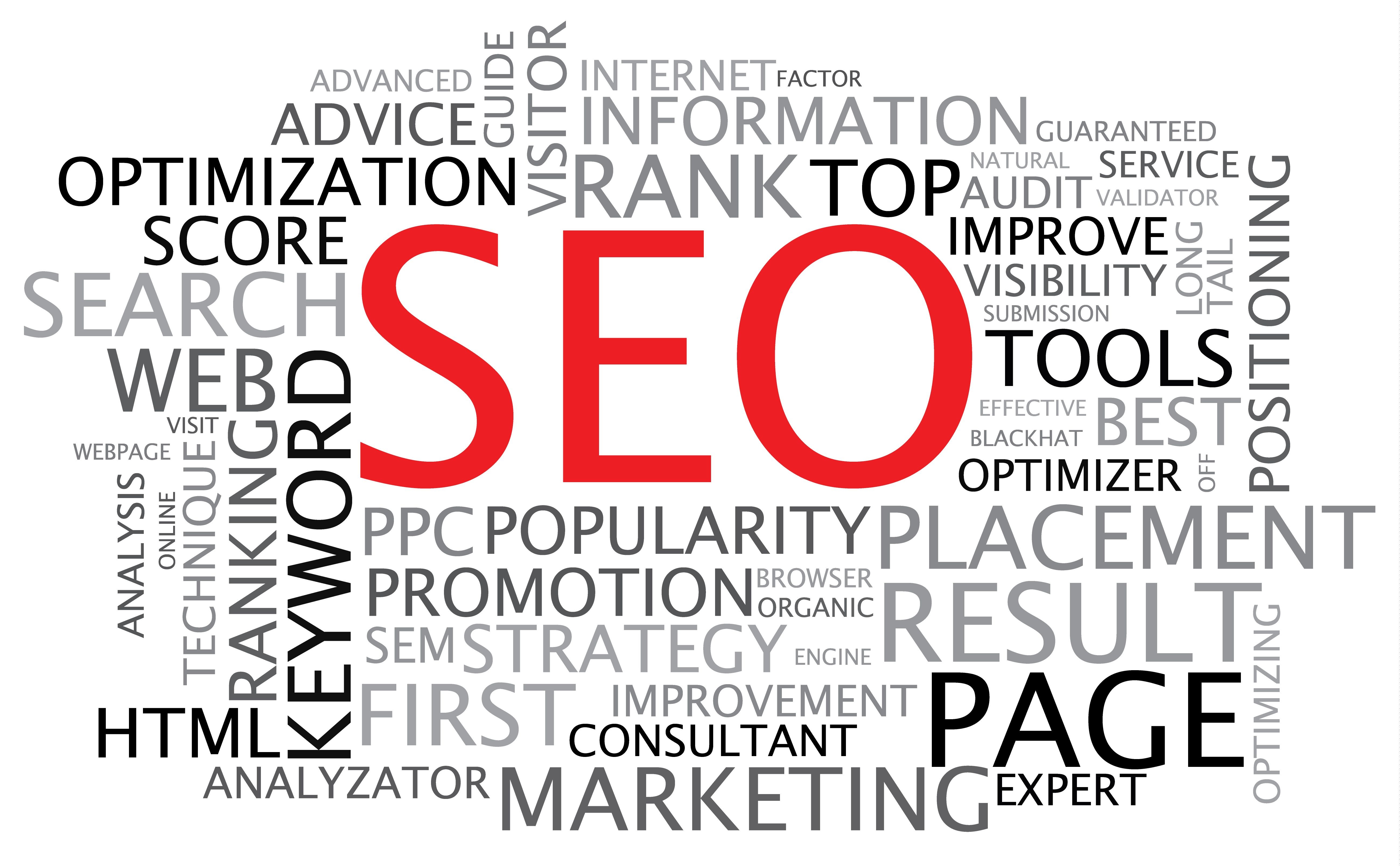 3 Reasons Why You Need to Partner With an SEO Company in Naples, FL