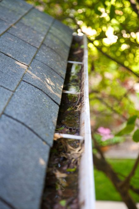 5 Reasons Why Gutter Cleaning In Schaumburg IL Is Important