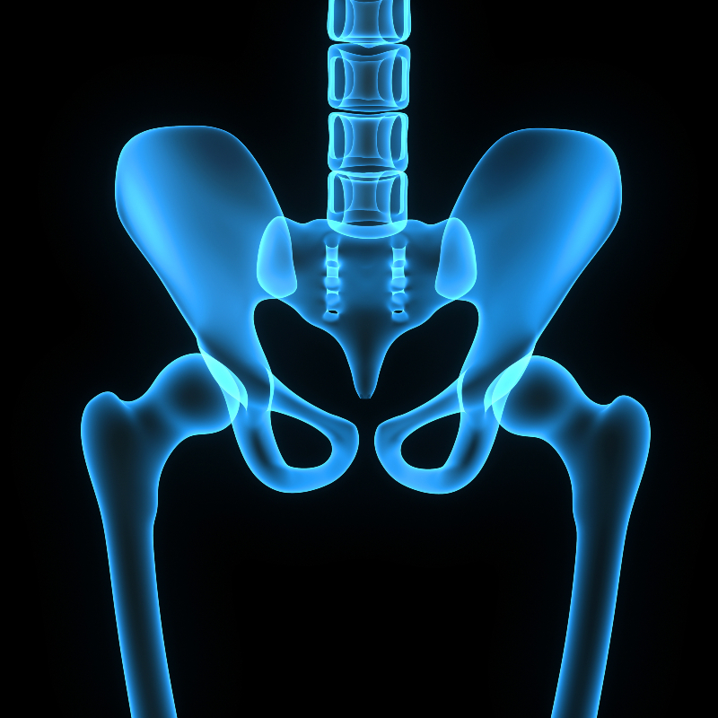 Utilizing Wellness Options After a Hip Replacement in Johnson City, TN