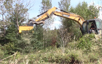 Brush Cutter for an Excavator: The Unseen Heroes of Vegetation Management