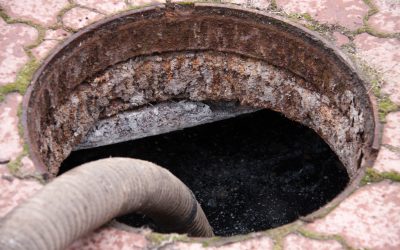 Tackling Drain Clog in Bellevue, WA: Fast Solutions For Clear Pipes