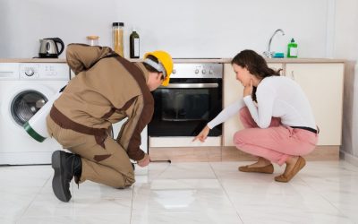 Bed Bug & Ant Control In Perth: Two Common Problems That Require Professional Pest Control