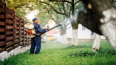 Using a Lawn Service in Jeffersonville, IN