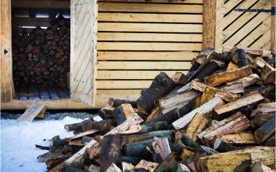 Premium Quality Firewood for Sale Near Freehold, NJ Crafted to Provide Long-Lasting and Efficient Heat